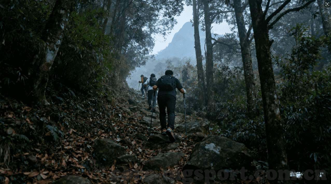 俄罗斯世界杯球票中签率-俄罗斯世界杯球票中签率，揭秘全球球迷的幸运之旅